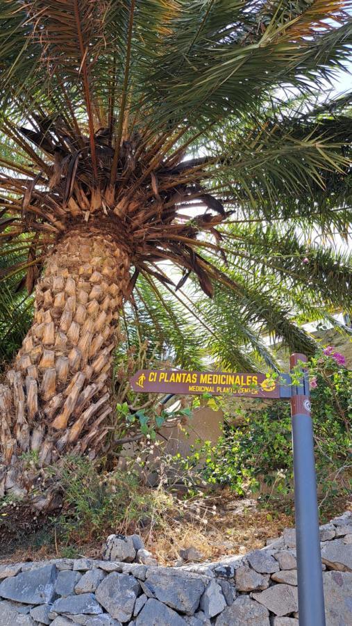 Casa Santana Segura Guest House Tejeda  Ngoại thất bức ảnh