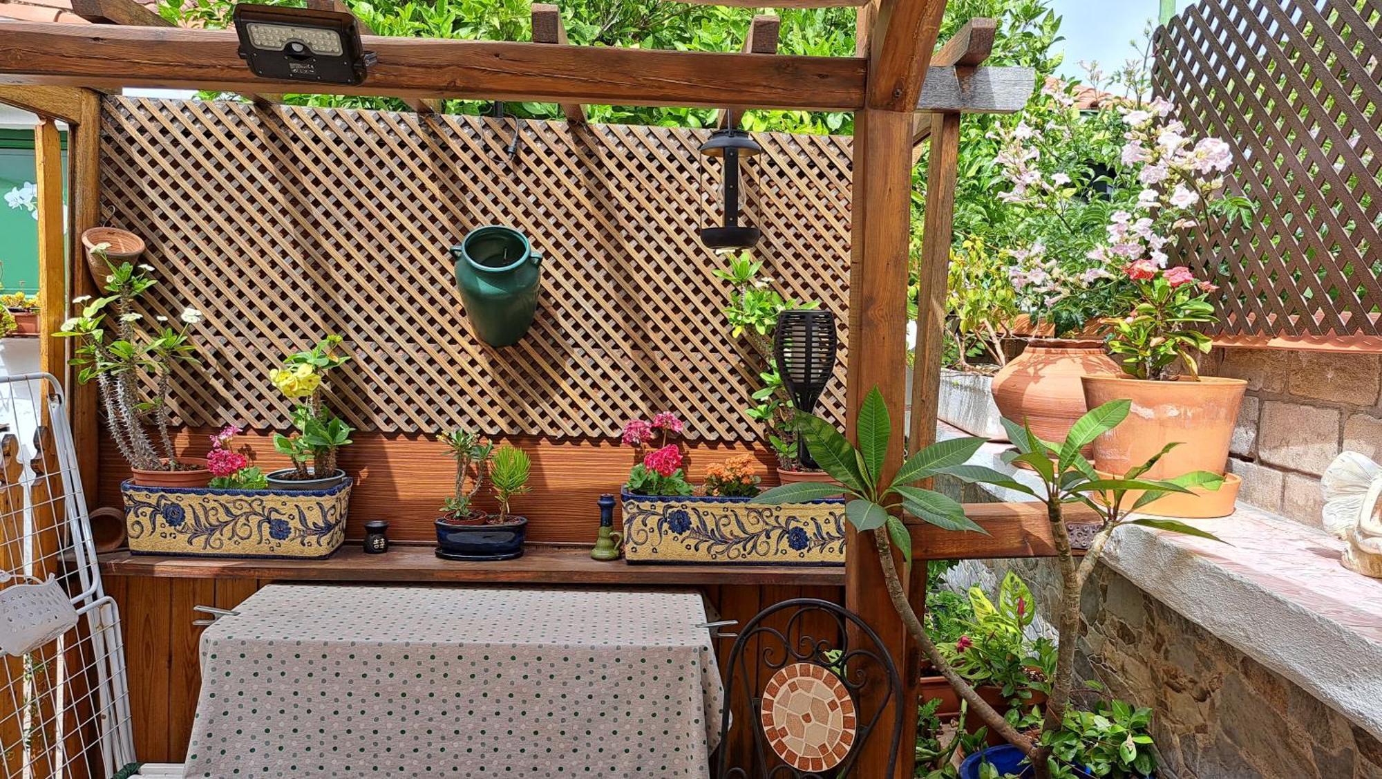 Casa Santana Segura Guest House Tejeda  Ngoại thất bức ảnh