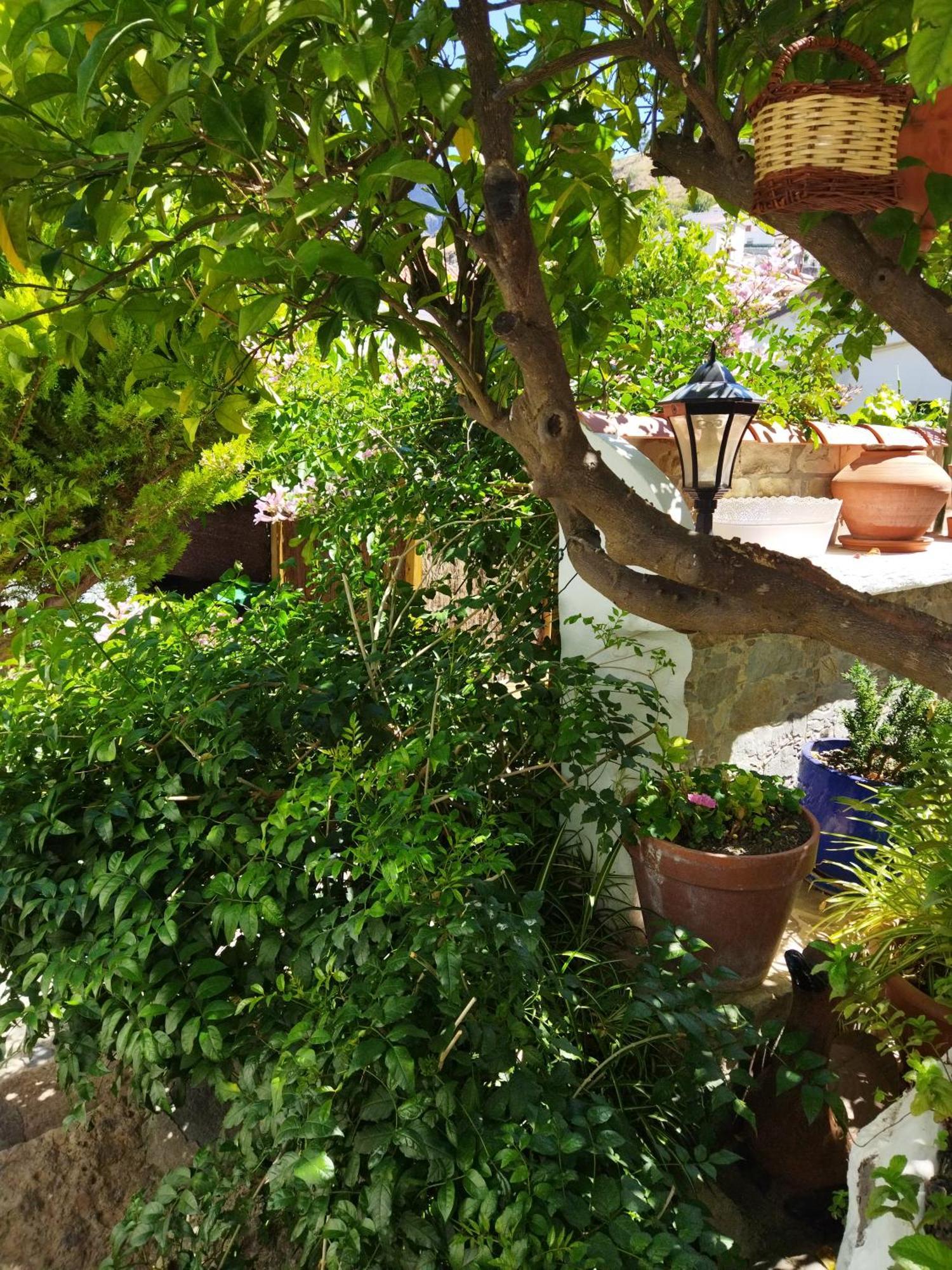 Casa Santana Segura Guest House Tejeda  Phòng bức ảnh